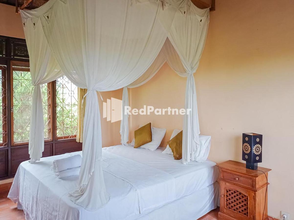Apartament Nando House Ubud Zewnętrze zdjęcie
